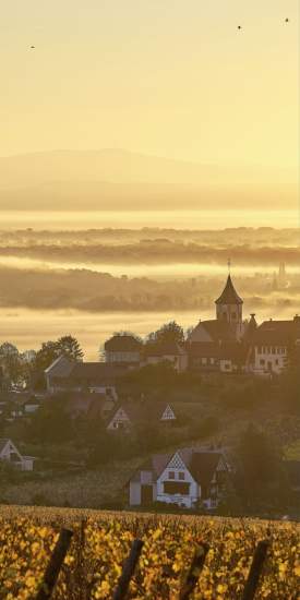 Village alsacien au lever du jour avec clocher, toits traditionnels et brume matinale, paysage typique près de Colmar, en Alsace