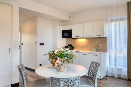 Séjour d’un appart-hôtel avec coin repas, cuisine équipée intégrée et décoration florale, espace lumineux près de Colmar, en Alsace