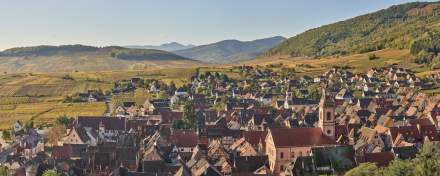 Alsatian village surrounded by vineyards and rolling hills, featuring traditional rooftops – a typical landscape near Colmar, Alsace