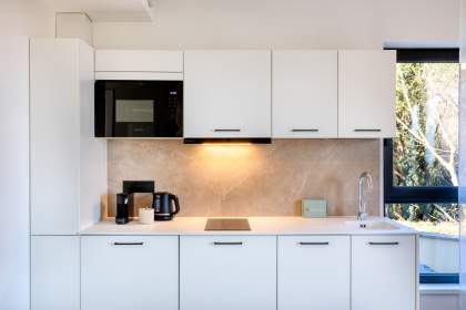 Cuisine équipée et fonctionnelle d’un appart-hôtel avec électroménager intégré et rangements modernes près de Colmar, en Alsace